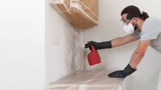 Professional Mold Remediation technician working in Reading, MI