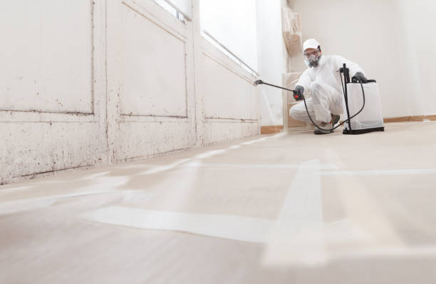 24/7 Emergency Mold Remediation experts in Reading, MI