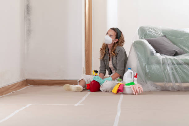 Reliable Mold Remediation contractor in Reading, MI by Cheap Mold Removal